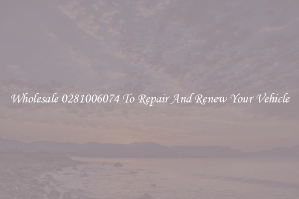 Wholesale 0281006074 To Repair And Renew Your Vehicle