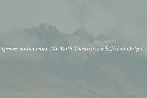 kamoer dosing pump 24v With Unsurpassed Efficient Outputs