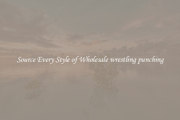 Source Every Style of Wholesale wrestling punching