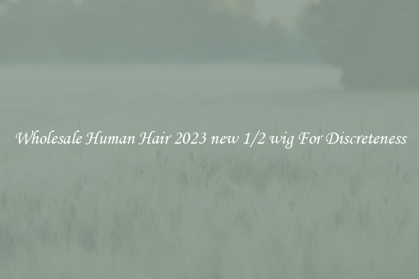 Wholesale Human Hair 2023 new 1/2 wig For Discreteness