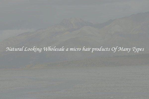 Natural Looking Wholesale a micro hair products Of Many Types