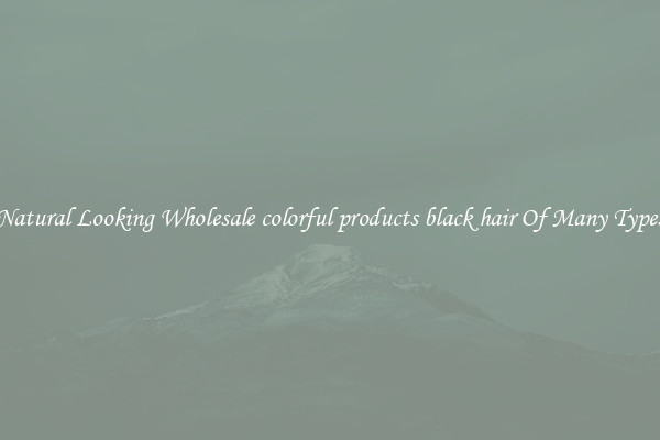Natural Looking Wholesale colorful products black hair Of Many Types