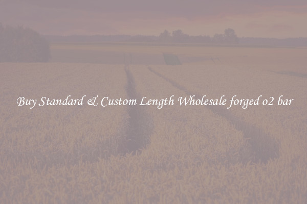 Buy Standard & Custom Length Wholesale forged o2 bar