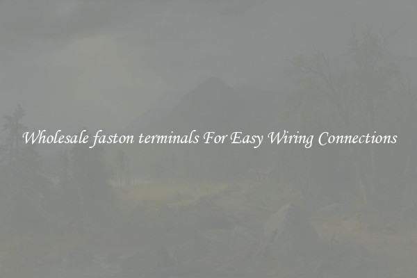 Wholesale faston terminals For Easy Wiring Connections