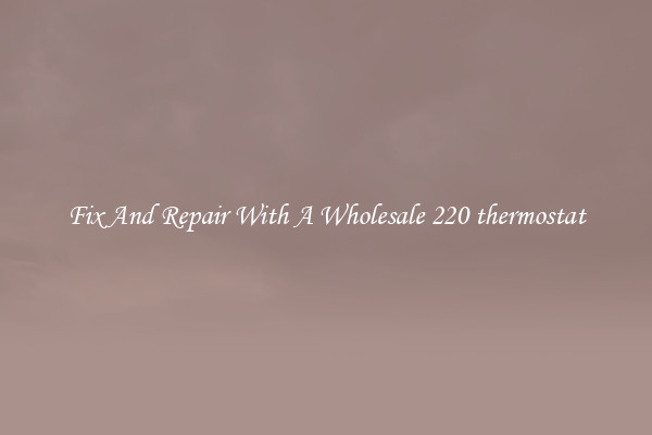 Fix And Repair With A Wholesale 220 thermostat