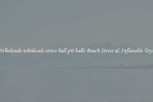 Wholesale wholesale stress ball pit balls Beach Stress & Inflatable Toys