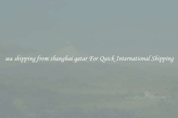 sea shipping from shanghai qatar For Quick International Shipping