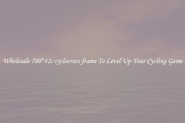 Wholesale 700*42c cyclocross frame To Level Up Your Cycling Game