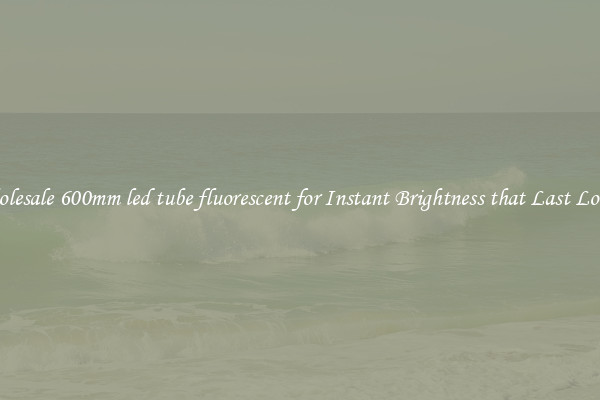 Wholesale 600mm led tube fluorescent for Instant Brightness that Last Longer
