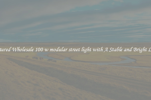 Featured Wholesale 100 w modular street light with A Stable and Bright Light