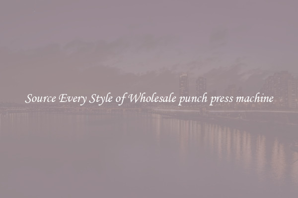 Source Every Style of Wholesale punch press machine