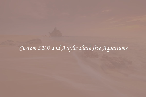Custom LED and Acrylic shark live Aquariums