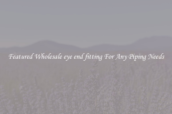 Featured Wholesale eye end fitting For Any Piping Needs