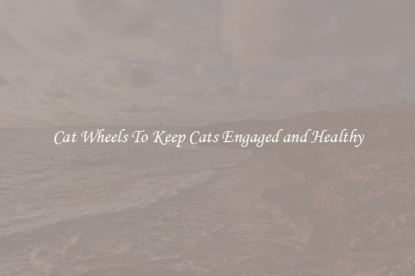 Cat Wheels To Keep Cats Engaged and Healthy