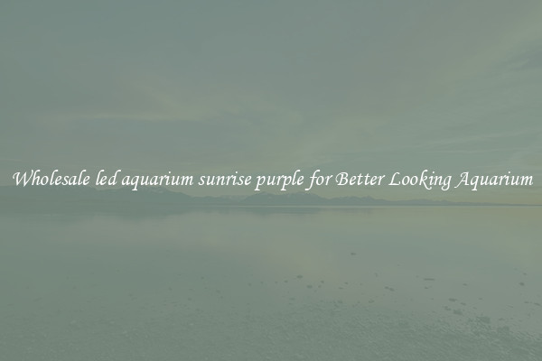 Wholesale led aquarium sunrise purple for Better Looking Aquarium