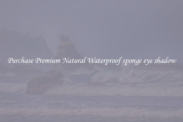 Purchase Premium Natural Waterproof sponge eye shadow