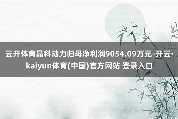 云开体育晶科动力归母净利润9054.09万元-开云·kaiyun体育(中国)官方网站 登录入口